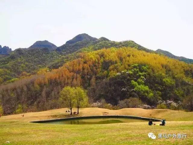 富裕街道环城社区开展“墨香四溢迎新春”送福活动